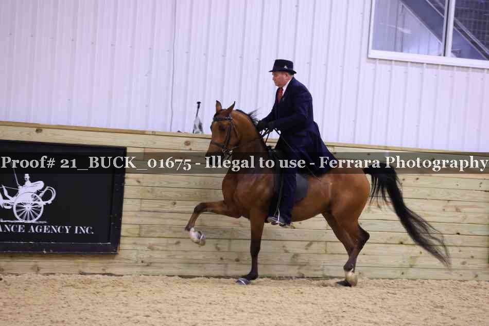Proof 21_BUCK_01675
