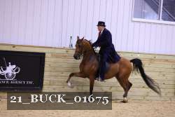21_BUCK_01675 proof