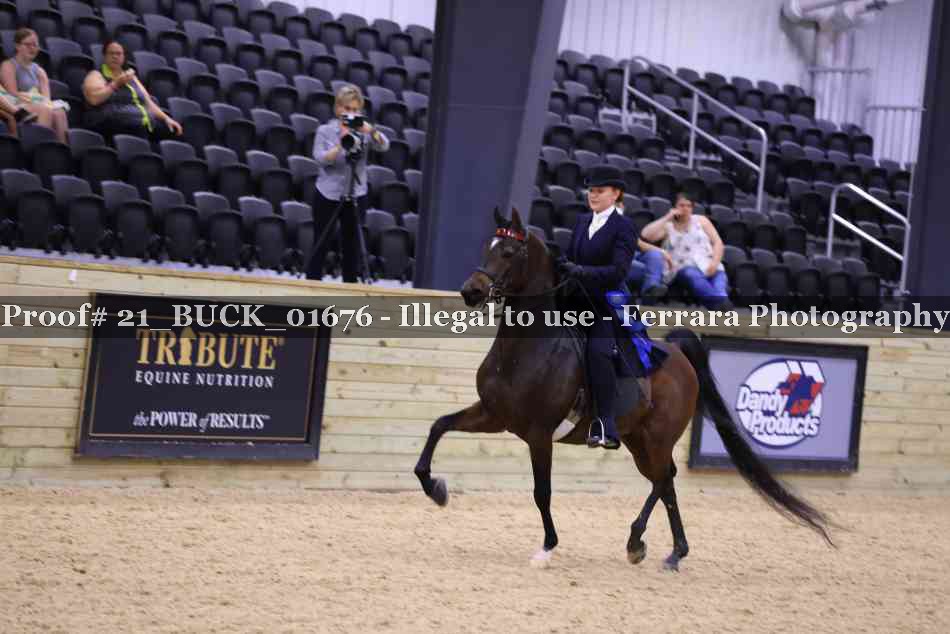 Proof 21_BUCK_01676