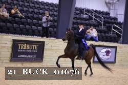 21_BUCK_01676 proof