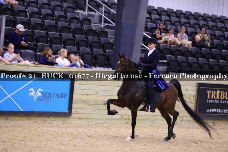 Proof 21_BUCK_01677