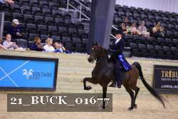 21_BUCK_01677 proof