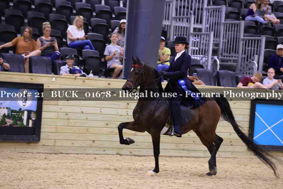 Proof 21_BUCK_01678