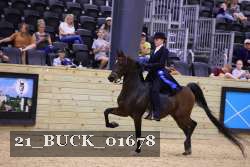 21_BUCK_01678 proof