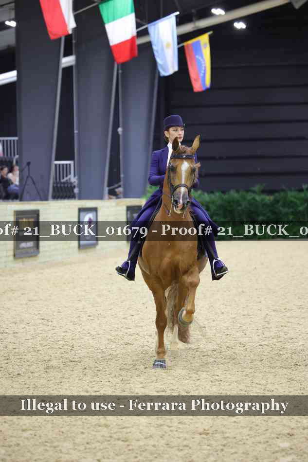 Proof 21_BUCK_01679