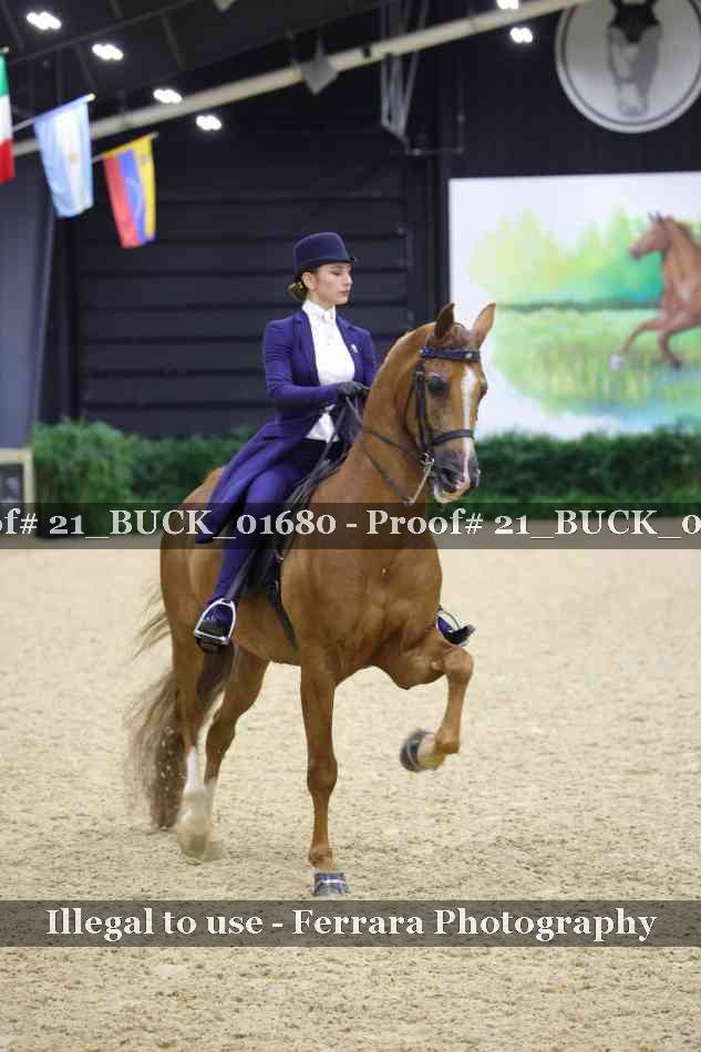 Proof 21_BUCK_01680