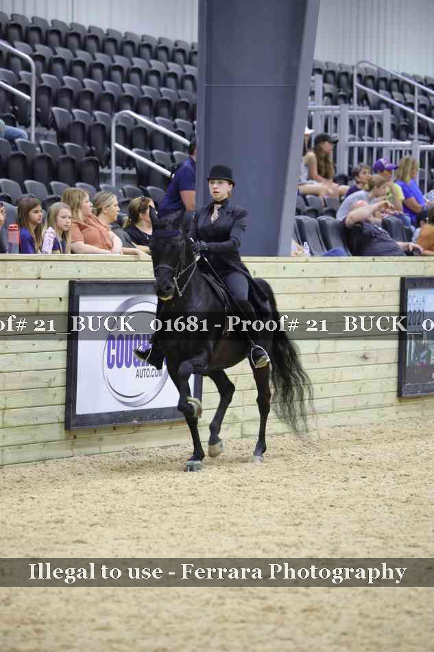 Proof 21_BUCK_01681
