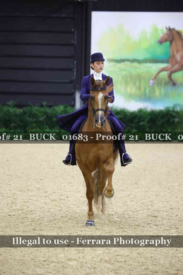 Proof 21_BUCK_01683