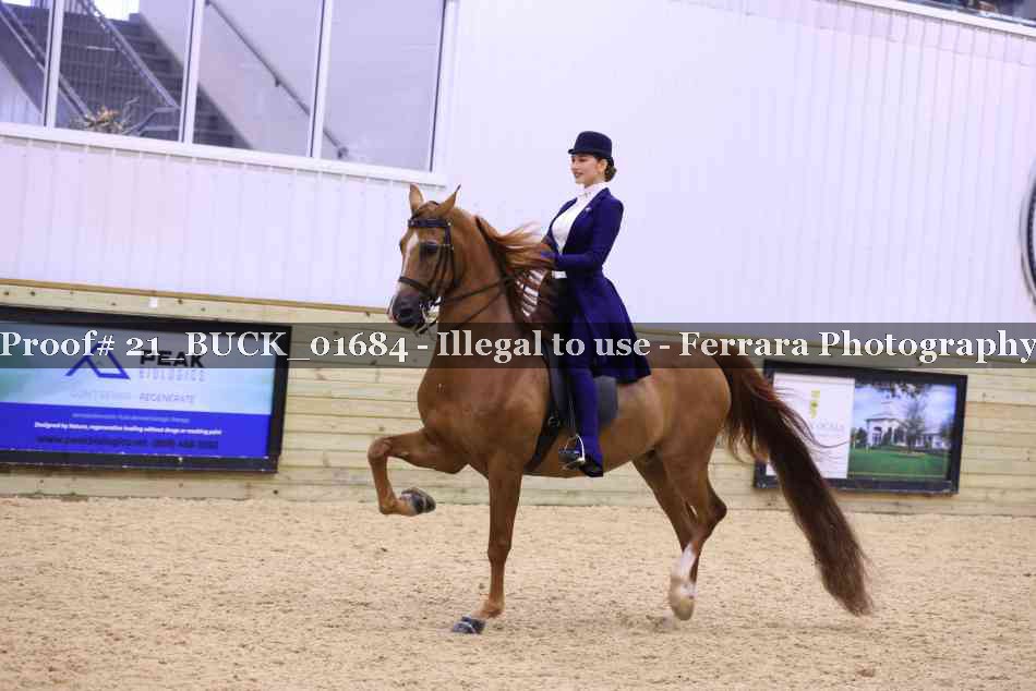 Proof 21_BUCK_01684