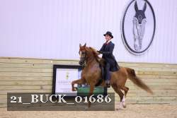 21_BUCK_01686 proof