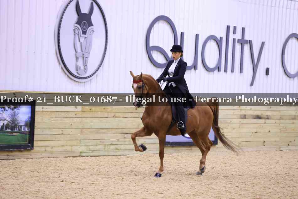 Proof 21_BUCK_01687
