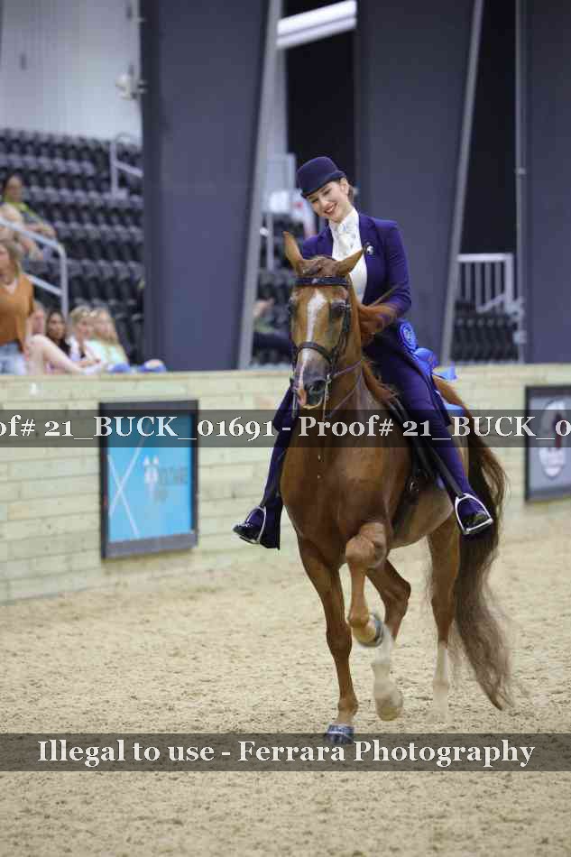 Proof 21_BUCK_01691