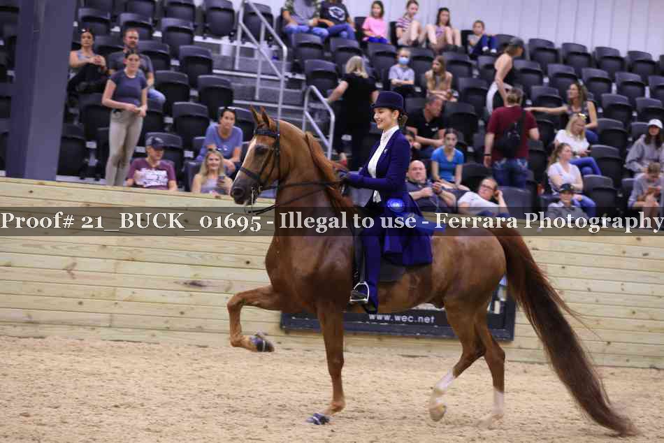 Proof 21_BUCK_01695