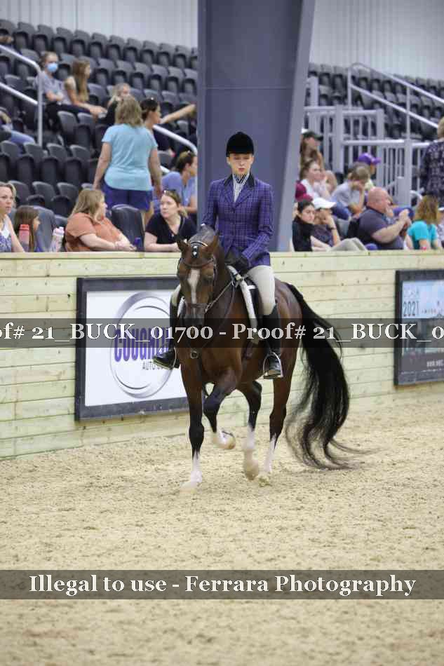 Proof 21_BUCK_01700