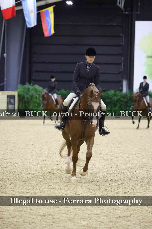 Proof 21_BUCK_01701