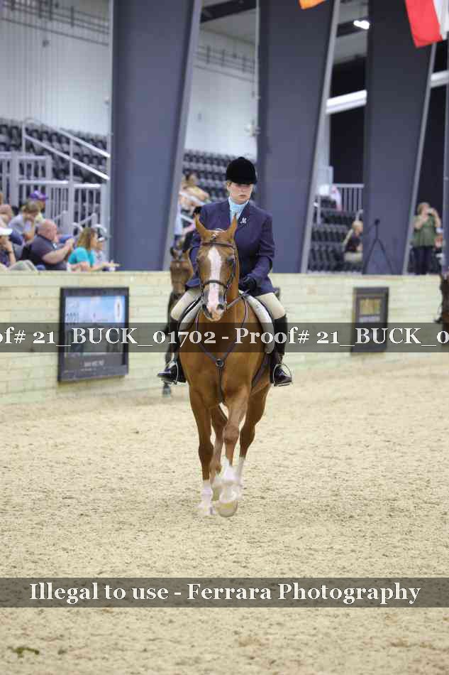 Proof 21_BUCK_01702