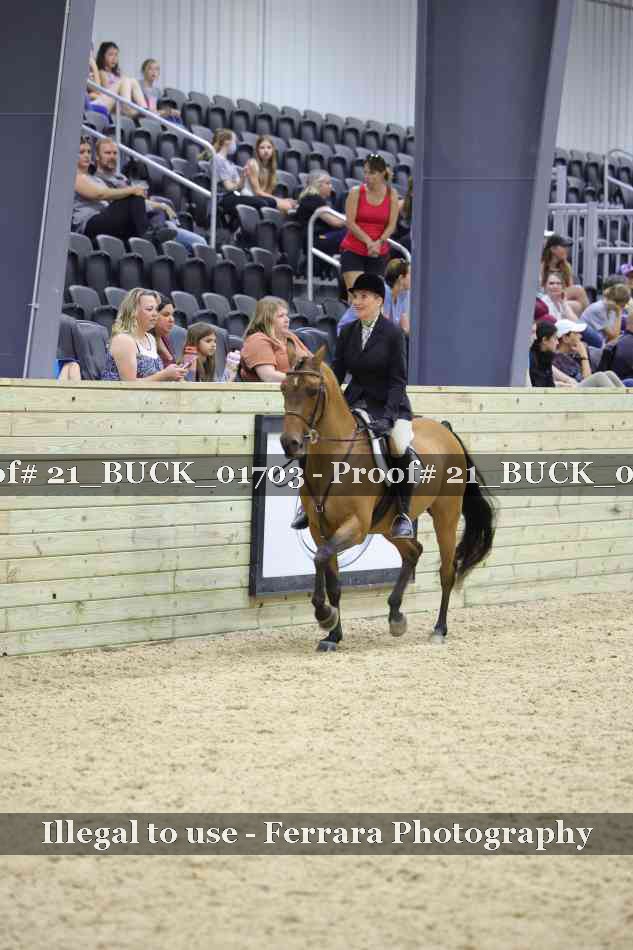 Proof 21_BUCK_01703