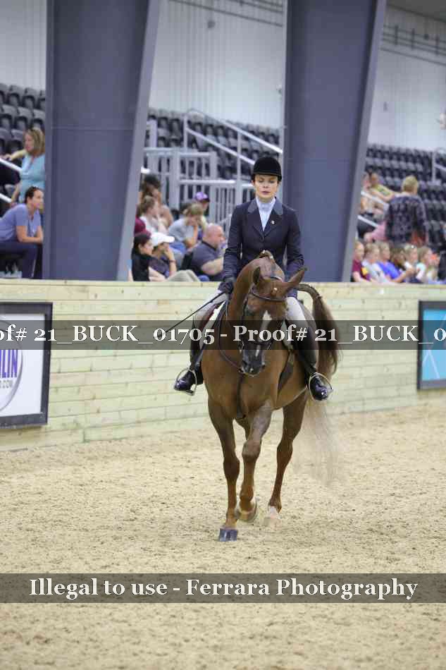 Proof 21_BUCK_01705