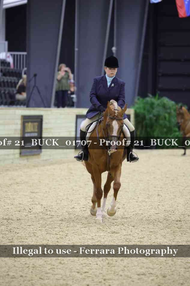 Proof 21_BUCK_01707