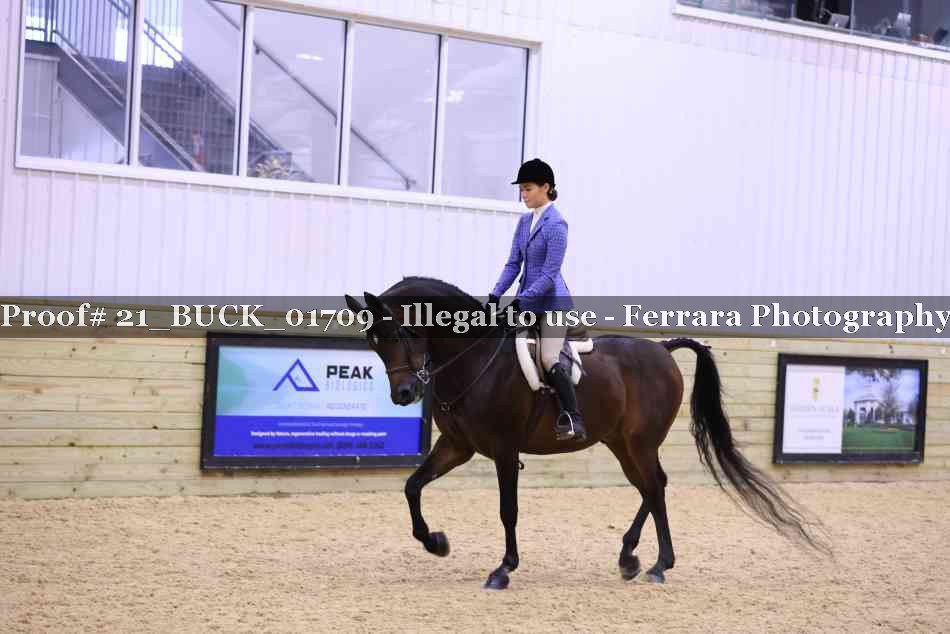 Proof 21_BUCK_01709