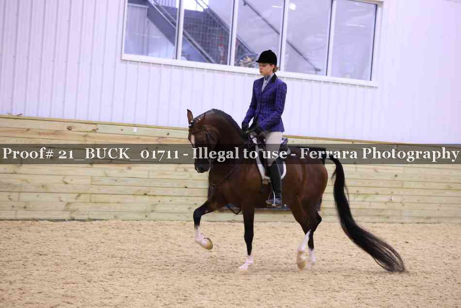 Proof 21_BUCK_01711