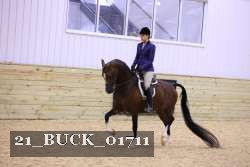 21_BUCK_01711 proof