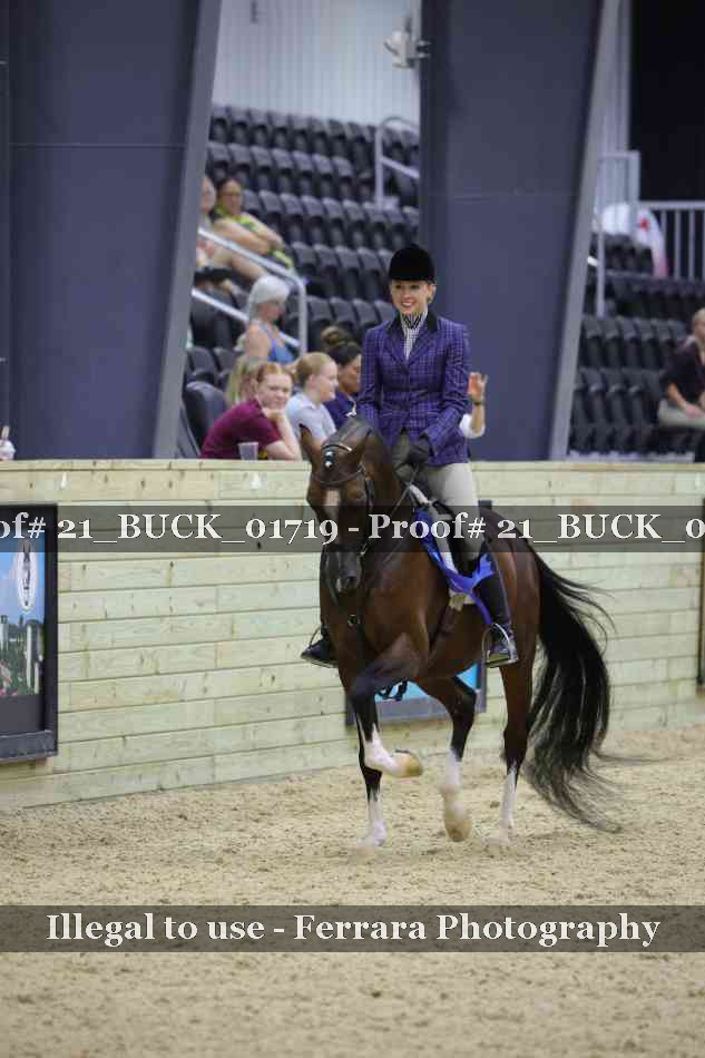 Proof 21_BUCK_01719