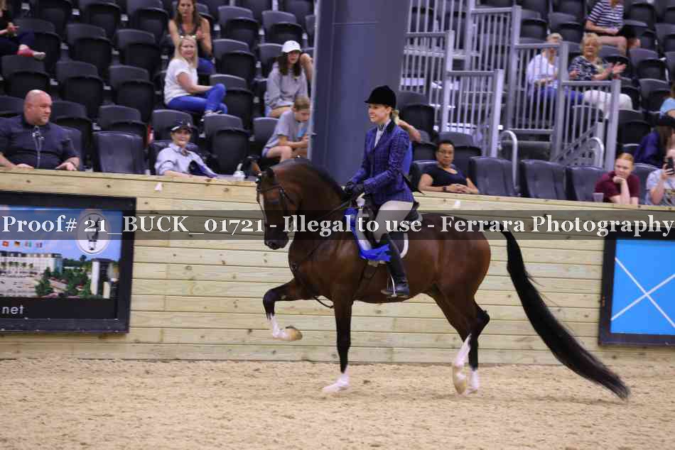 Proof 21_BUCK_01721