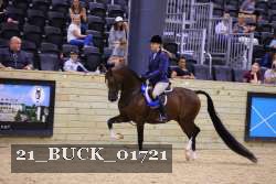 21_BUCK_01721 proof