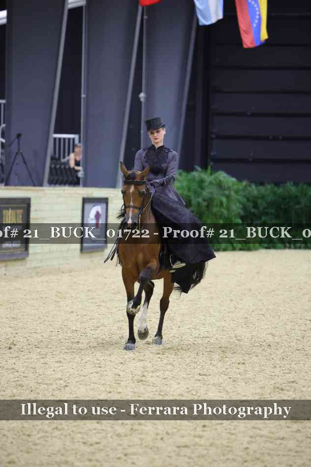 Proof 21_BUCK_01722