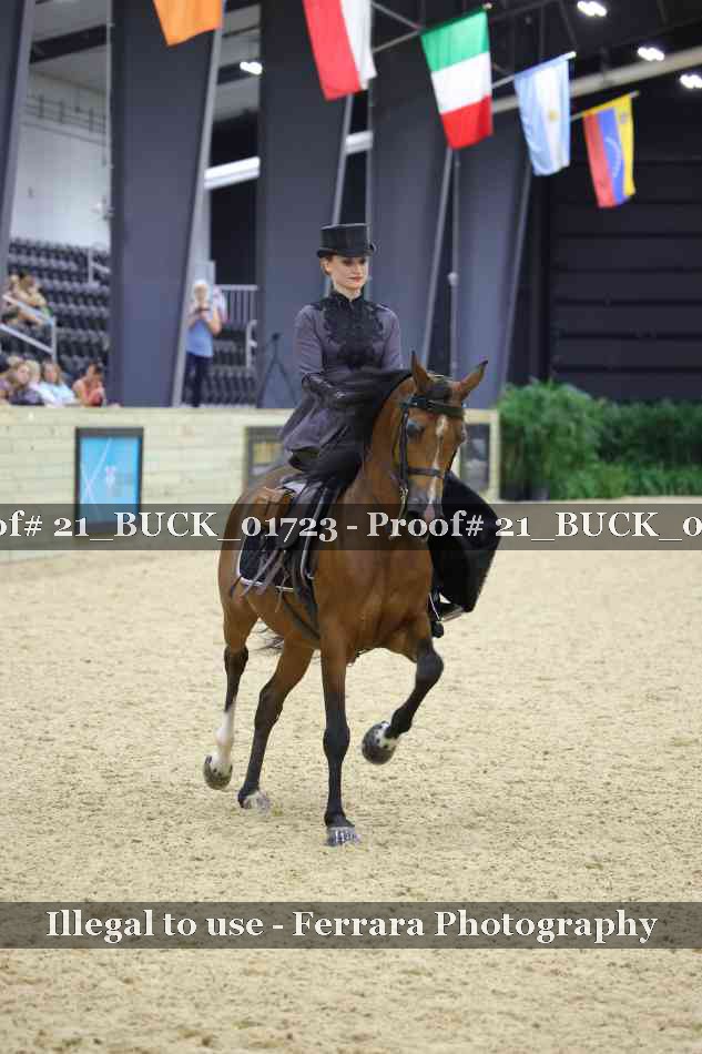 Proof 21_BUCK_01723