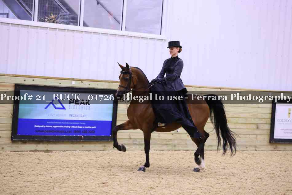 Proof 21_BUCK_01726