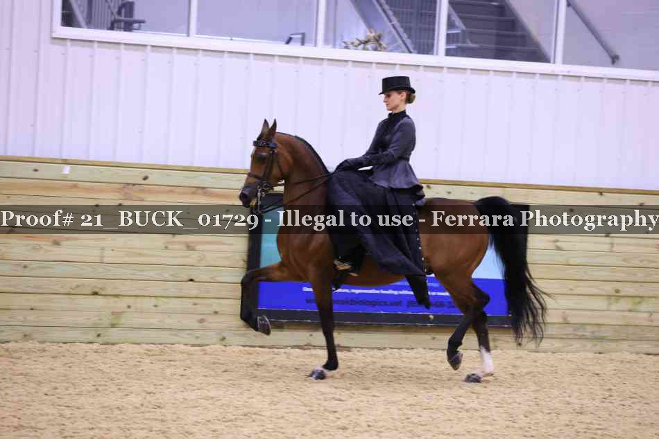 Proof 21_BUCK_01729