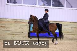 21_BUCK_01729 proof