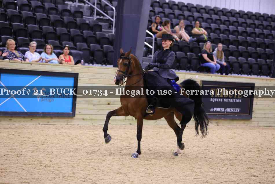 Proof 21_BUCK_01734
