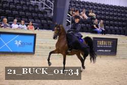 21_BUCK_01734 proof