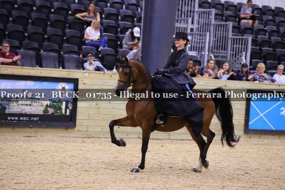 Proof 21_BUCK_01735