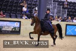 21_BUCK_01735 proof