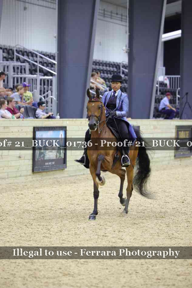 Proof 21_BUCK_01736