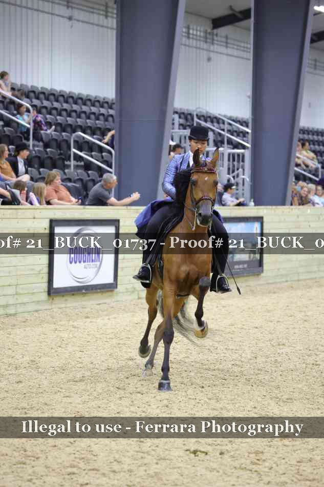 Proof 21_BUCK_01737