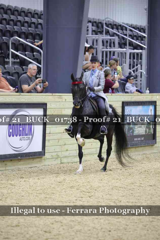 Proof 21_BUCK_01738