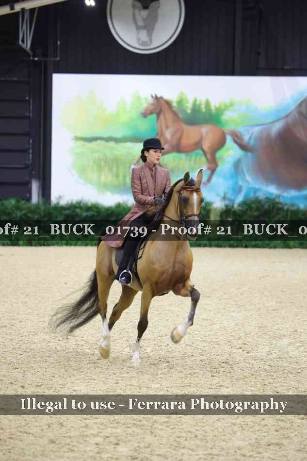 Proof 21_BUCK_01739