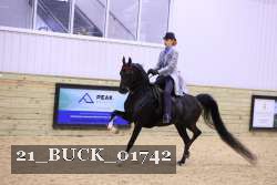 21_BUCK_01742 proof