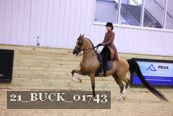 21_BUCK_01743 proof