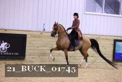21_BUCK_01745 proof