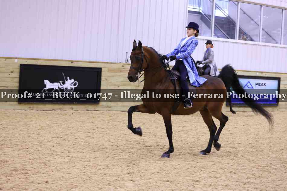 Proof 21_BUCK_01747