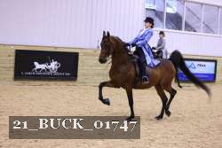 21_BUCK_01747 proof