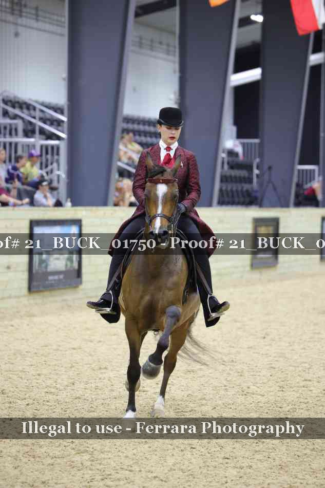 Proof 21_BUCK_01750