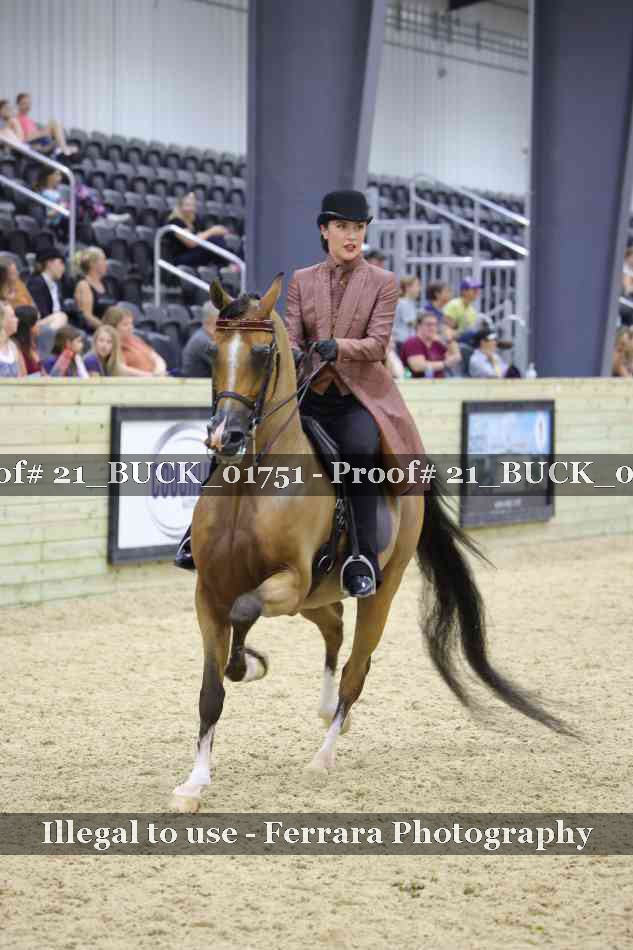 Proof 21_BUCK_01751