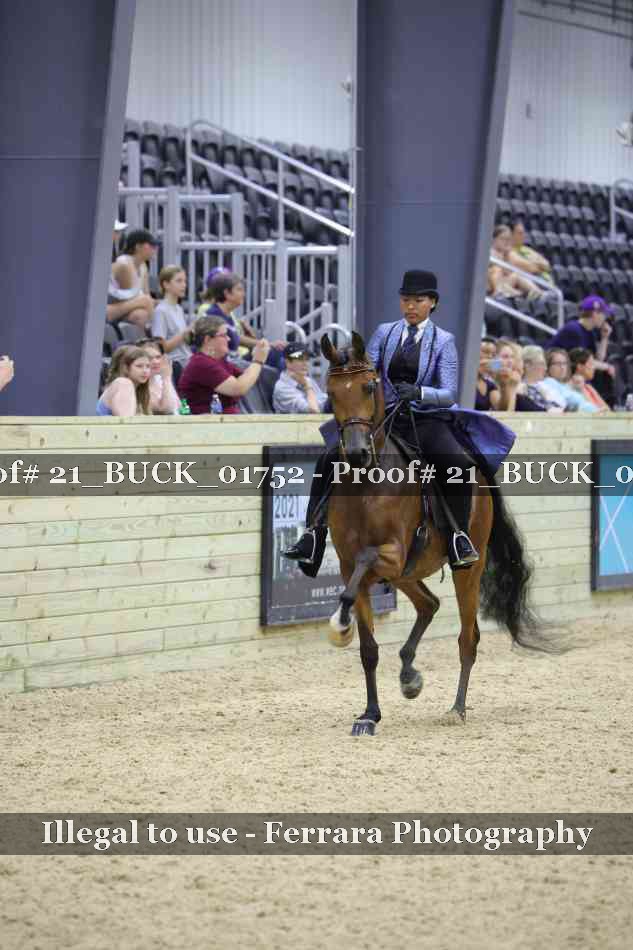 Proof 21_BUCK_01752